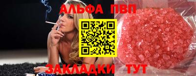 тгк Новодвинск