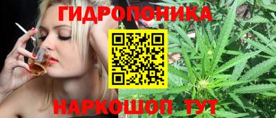 мет Новозыбков