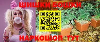 мет Новозыбков