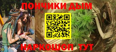 тгк Новодвинск