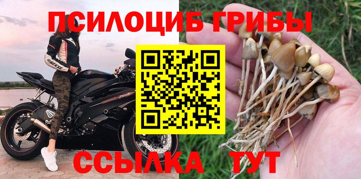 купить  сайты  Псилоцибиновые грибы мицелий  Златоуст  Псилоцибиновые грибы ЛСД 