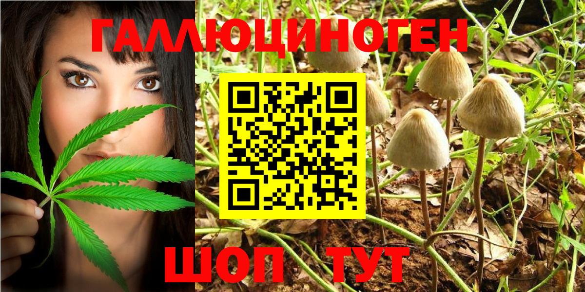 Златоуст  Галлюциногенные грибы Psilocybe  Вход с VPN 